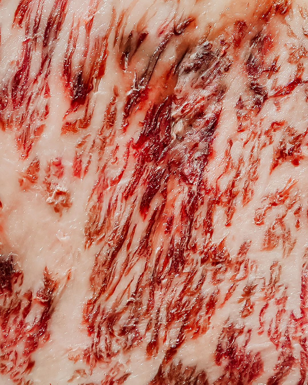 Wagyu Japonés A5 -12 Madurado