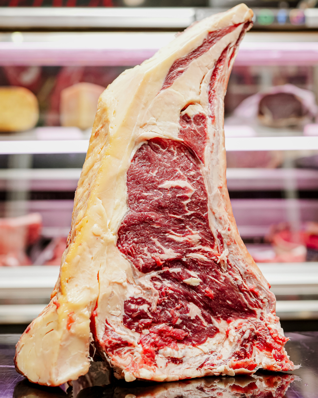 Rubia Gallega DR4 Gama Superior